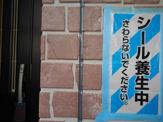 オートンイクシード