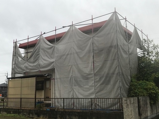 台風養生