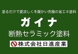 ガイナ